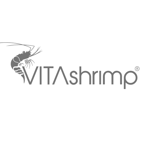 Vitashrimp Garnelen