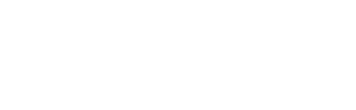 Zahlungsmöglichkeiten Paypal und Vorkasse